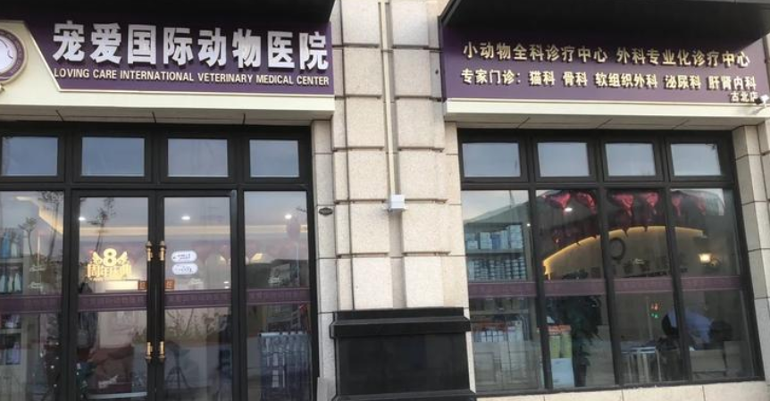 宠爱国际以爱为名,定义宠物医疗新温度 宠爱国际以爱为名,定义宠物医疗新温度