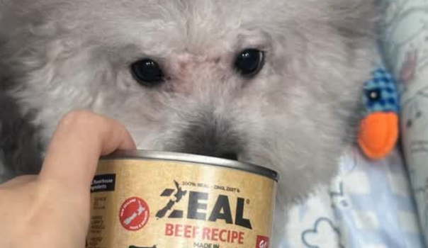 狗罐头买什么样的？ZEAL鹿肉味狗罐头，美味又营养！
