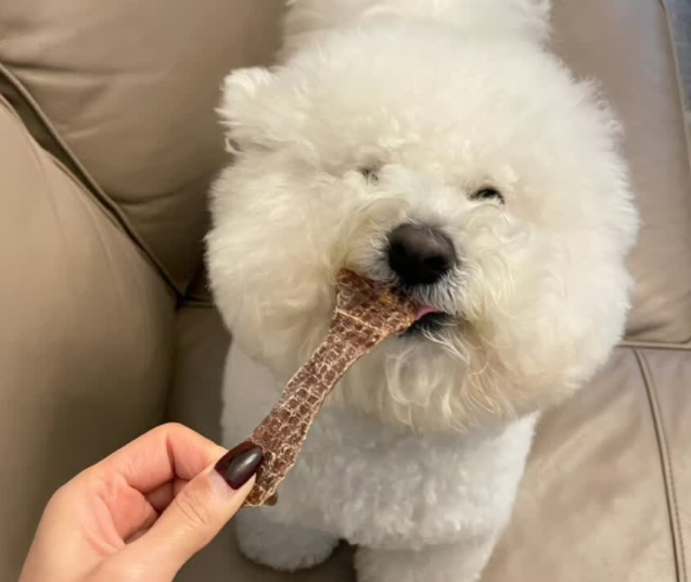 零食鸭肉狗干推荐爵宴鸭肉干,100%原切鸭大胸 零食鸭肉狗干推荐爵宴鸭肉干,100%原切鸭大胸