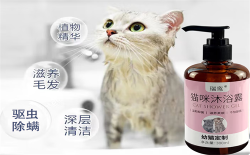 瑞鸾
