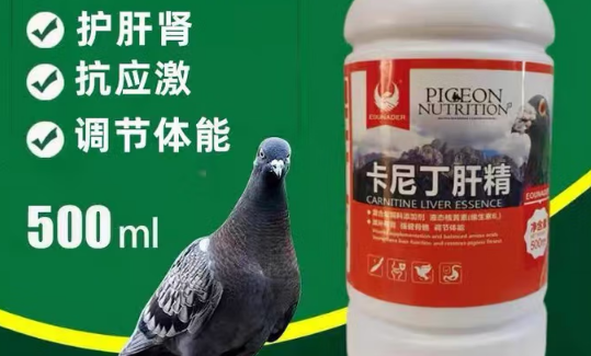 欧耐德鸽药是杂牌还是名牌 欧耐德鸽药是杂牌还是名牌