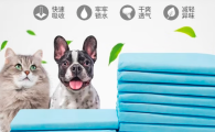 养宠必备！狗狗隔尿垫品牌推荐之鲁希德，吸水力惊艳全场
