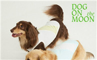 DOG ON THE MOON速干防晒凉凉衣：夏日爱宠的新选择