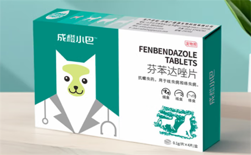 成橙小巴