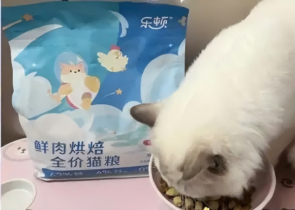 性价比高的猫粮推荐乐顿烘焙猫粮,国货性价比之光 性价比高的猫粮推荐乐顿烘焙猫粮,国货性价比之光