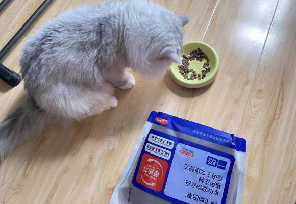 国产适口性好的猫粮:阿飞和巴弟E76让挑食猫爱上干饭! 国产适口性好的猫粮:阿飞和巴弟E76让挑食猫爱上干饭!