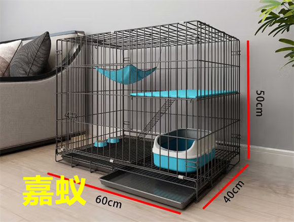 嘉蚁猫笼子里面怎么布置 嘉蚁猫笼子里面怎么布置