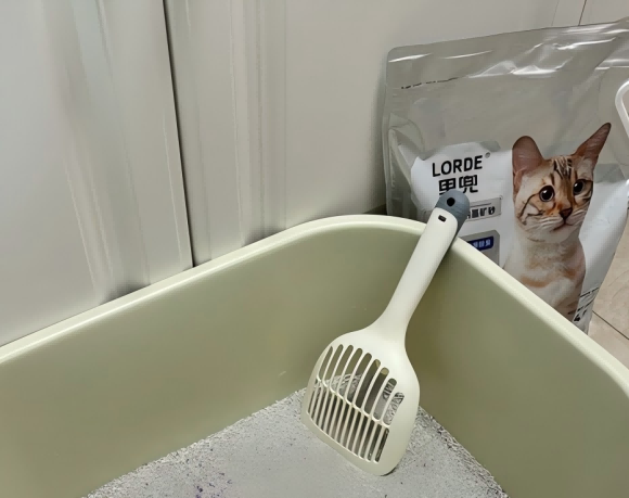 适合自动猫砂盆的猫砂,里兜科学选材破解清洁难题 适合自动猫砂盆的猫砂,里兜科学选材破解清洁难题