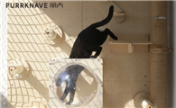朋内猫爬架，用模块化设计，给猫咪成长型陪伴