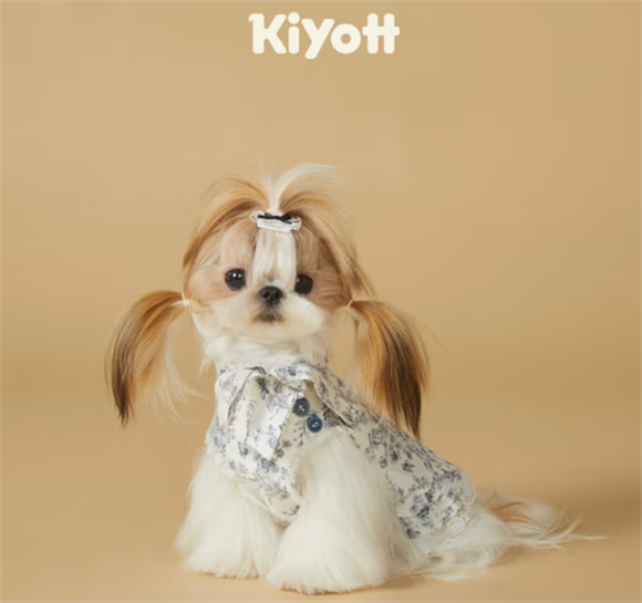 Kiyott裙子——传承东方美学,点亮宠物春夏时尚 Kiyott裙子——传承东方美学,点亮宠物春夏时尚