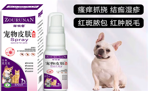 邹润安
