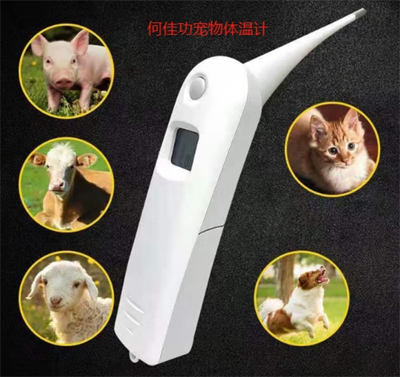 何佳功宠物体温计人能用吗