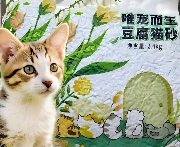 哪个品牌的猫砂粉尘少?唯宠而生豆腐猫砂助你告别粉尘烦恼 哪个品牌的猫砂粉尘少?唯宠而生豆腐猫砂助你告别粉尘烦恼