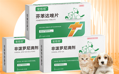 宠悠悠