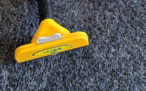 爱璞梳子:狗狗浮毛的“终结者”,专业设计显神通 爱璞梳子:狗狗浮毛的“终结者”,专业设计显神通