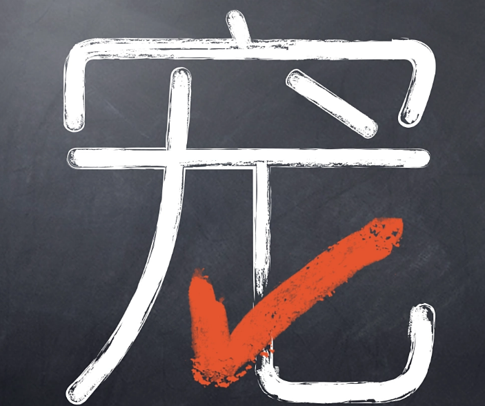 宠知道狗粮属于什么档次