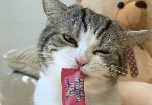 猫零食品牌有哪些?麦富迪全系列测评,这5款让主子疯狂上头! 猫零食品牌有哪些?麦富迪全系列测评,这5款让主子疯狂上头!