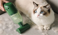 猫咪之家吸毛器有必要买吗