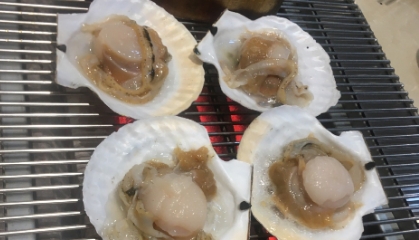 扇贝是什么颜色的好