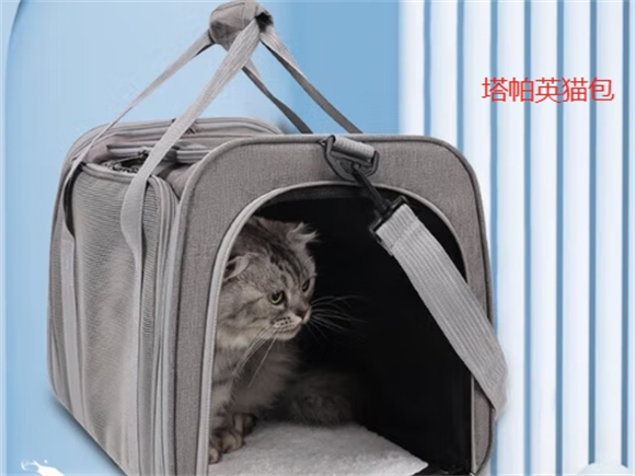 塔帕英猫包可以上公交车吗