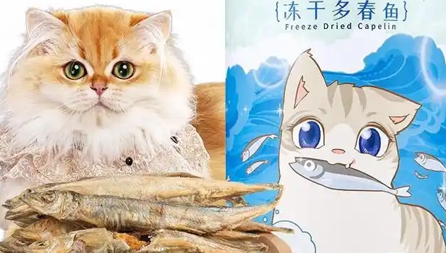 爱立方这10款猫零食太绝啦!猫咪吃了疯狂炫! 爱立方这10款猫零食太绝啦!猫咪吃了疯狂炫!