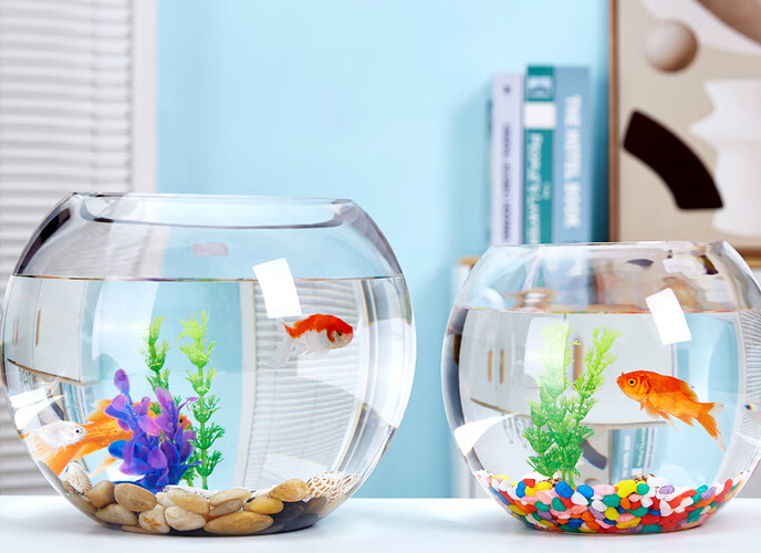 养鱼就用贝拉缘玻璃鱼缸,家居中的灵动风景 养鱼就用贝拉缘玻璃鱼缸,家居中的灵动风景