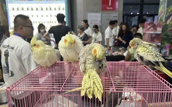 在亚宠展上看宠物经济新风向 在亚宠展上看宠物经济新风向
