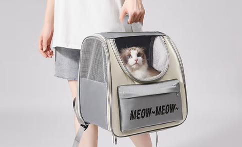 启萌先生猫包和航空箱哪个实用 启萌先生猫包和航空箱哪个实用