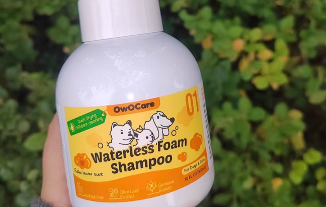 owocare沐浴露安全吗 owocare沐浴露安全吗