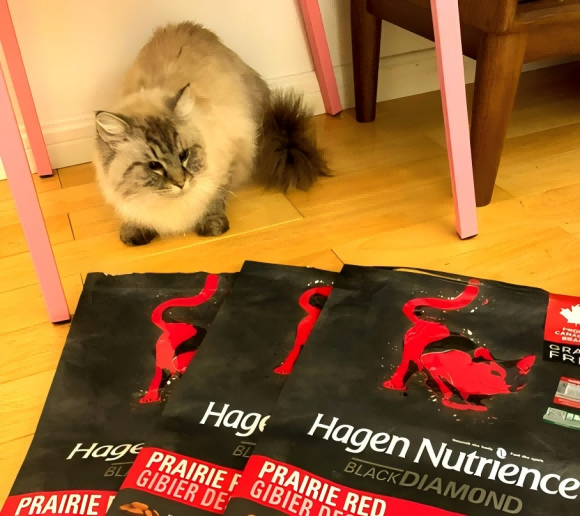 进口猫粮推荐性价比高：纽翠斯红肉黑钻猫粮的实用解析