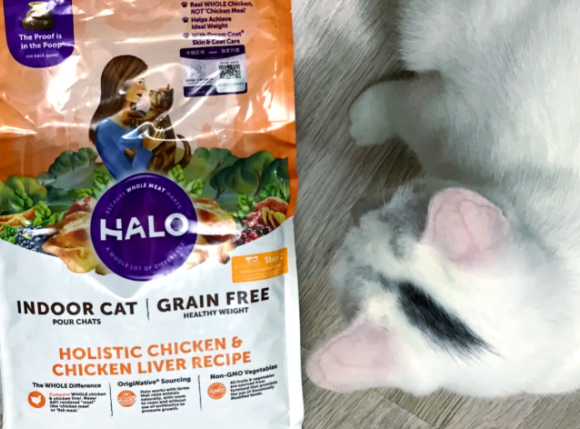 猫粮大袋推荐:自然光环10磅大包装,科学喂养的安心之选 猫粮大袋推荐:自然光环10磅大包装,科学喂养的安心之选