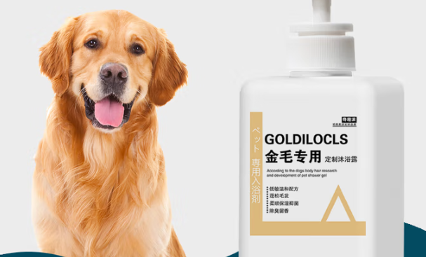 金毛洗护 “救星”!奇趣派专用沐浴露:杀菌除螨还能养出柔顺亮毛 金毛洗护 “救星”!奇趣派专用沐浴露:杀菌除螨还能养出柔顺亮毛