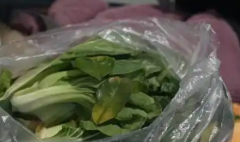 @铲屎官们养“异宠”或危害国家安全，这些行为违法了