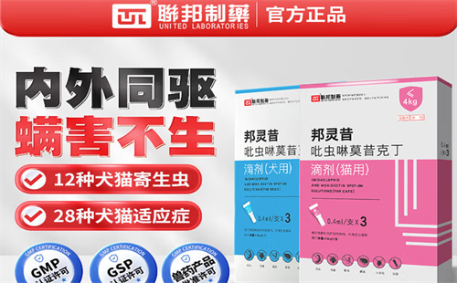 联邦动保