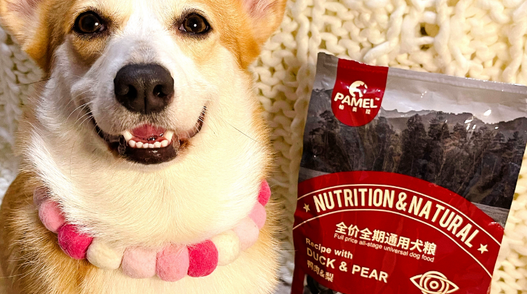 帕美拉鸭肉梨狗粮为何适合低敏体质犬?一起来解析一下! 帕美拉鸭肉梨狗粮为何适合低敏体质犬?一起来解析一下!