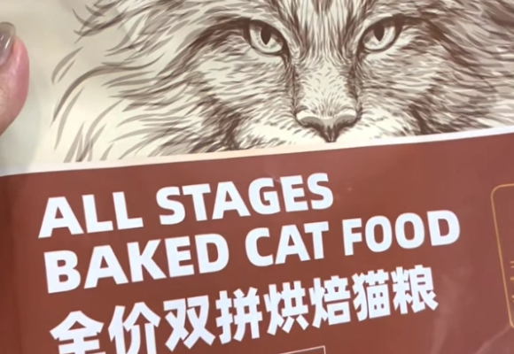 狸花猫适合吃什么猫粮？宠熙S40烘焙猫粮解锁活力密码！