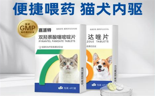 嘉派特