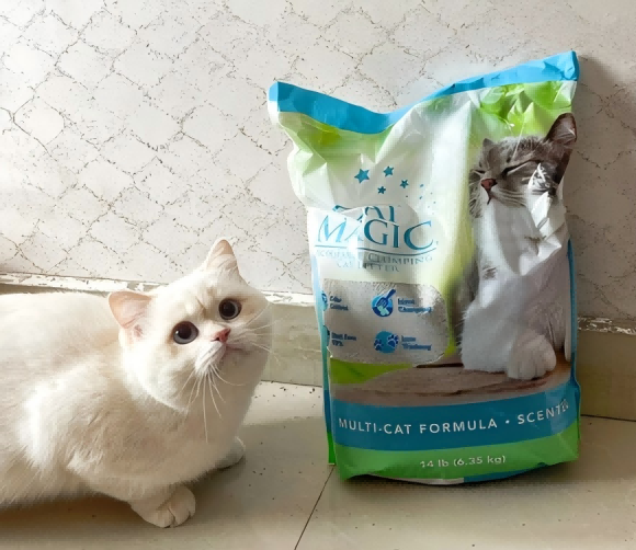 寻迹“比较好的膨润土猫砂”，喵洁客以科学内核重塑高端体验