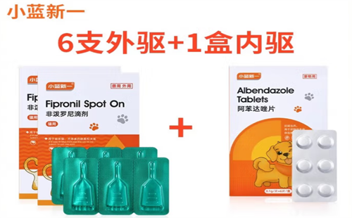 小蓝新一