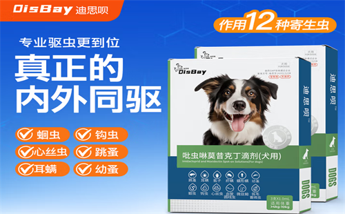 迪思呗