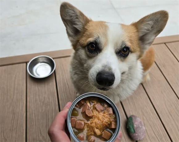 什么品牌的狗罐头比较好?疯狂小狗让挑食狗秒变干饭王 什么品牌的狗罐头比较好?疯狂小狗让挑食狗秒变干饭王