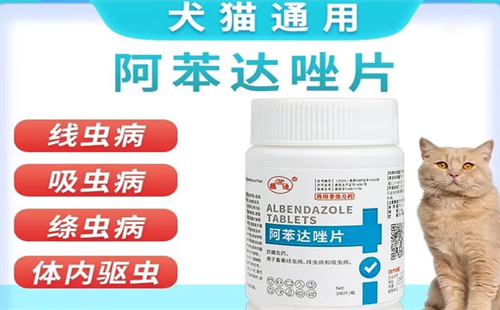 鹏迪