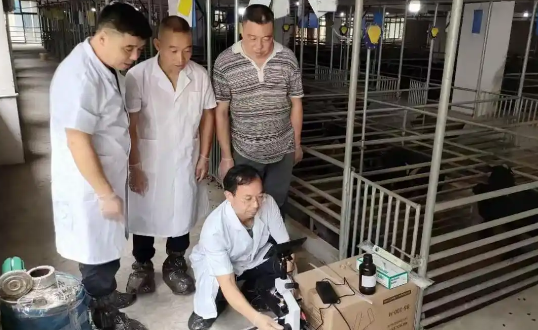 打造科技兴农示范样板 湘东黑山羊养殖技术“走出国门” 打造科技兴农示范样板 湘东黑山羊养殖技术“走出国门”