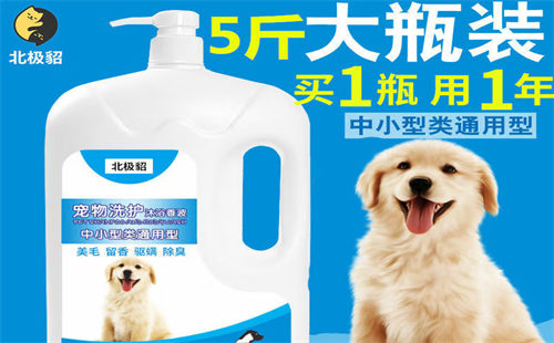北极貂