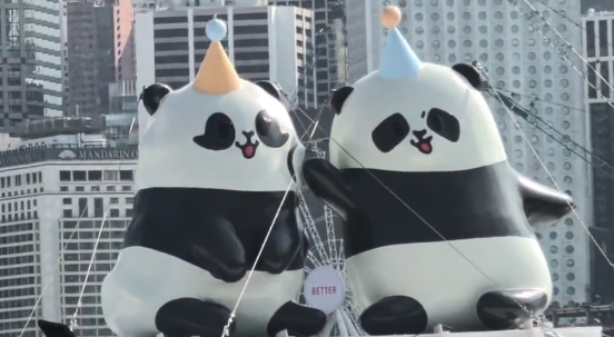 香港推出特别版天星小轮迎接“港产”大熊猫周岁生日