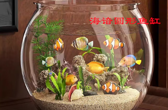 海谙圆形鱼缸：简约设计中的自然美学
