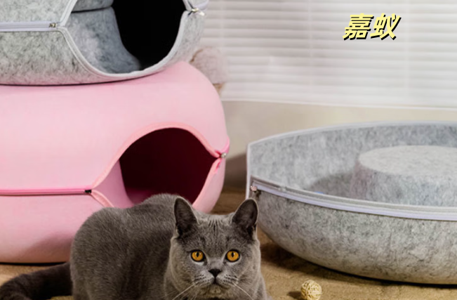 嘉蚁猫窝:温暖与舒适的港湾 嘉蚁猫窝:温暖与舒适的港湾