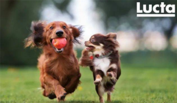 lucta健胃酸有副作用吗 lucta健胃酸有副作用吗