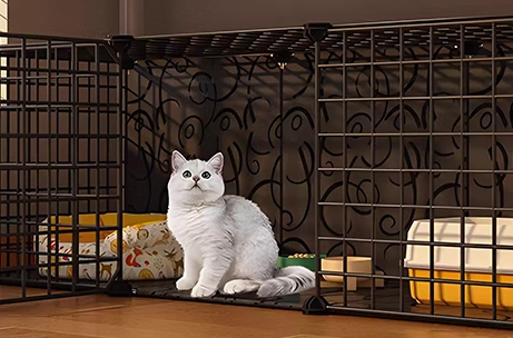 罗欧公馆猫笼子怎么样