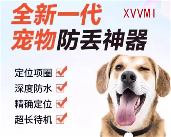 XVVMI定位器,泥泞与风雨中的轨迹管家 XVVMI定位器,泥泞与风雨中的轨迹管家